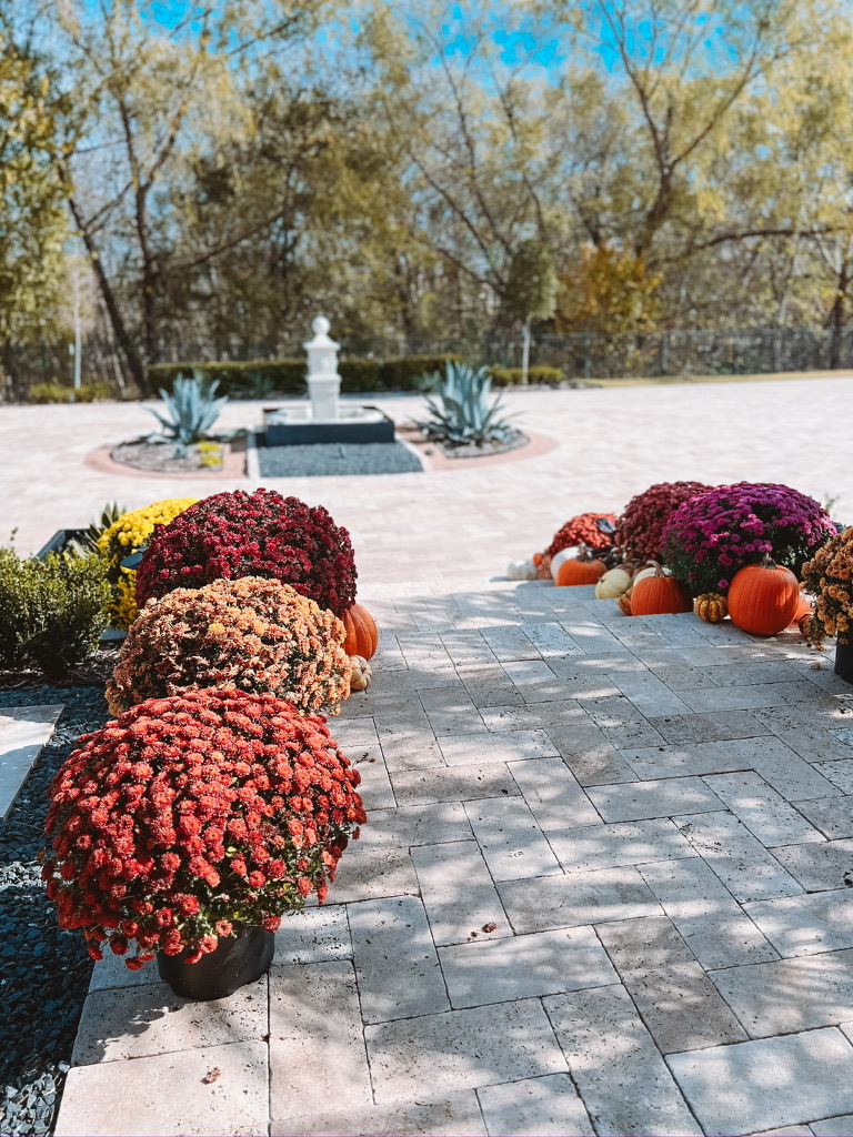 Fall for Your Front Porch | Simple Tips for Seasonal Styling

Fall front porch, fall decor, fall home styling, fall outdoor decor, home decor, home styling, home blogger, holiday decor, wreath, pumpkins, mums 